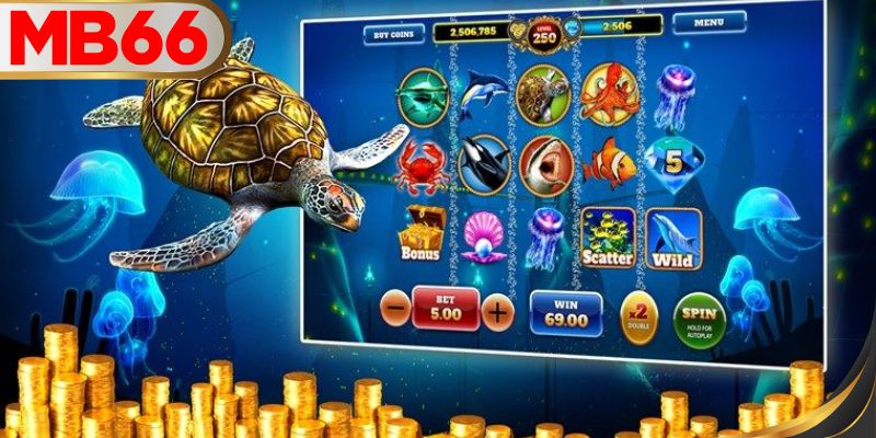 อินเทอร์เฟซมหาสมุทรที่น่าดึงดูดและมีชีวิตชีวา