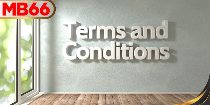 สิทธิและหน้าที่ของผู้เล่นที่ MB66